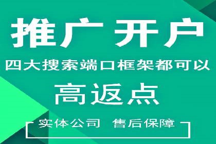 SEM代运营经典案例：提升品牌影响力